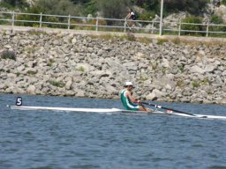 Naro 2012